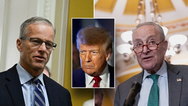 Senate GOP pushes Trump budget framework through after marathon vote series
